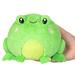  Squishable Snacker : Frog