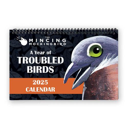 Troubled Birds Wall Calendar: 2025